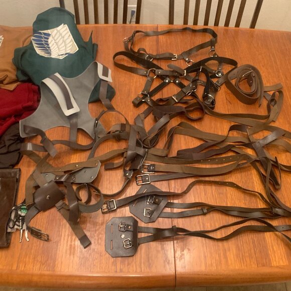 Deluxe Mikasa Ackerman Attack on Titan Cosplay Costume Halloween, XL - Picture 6 of 13